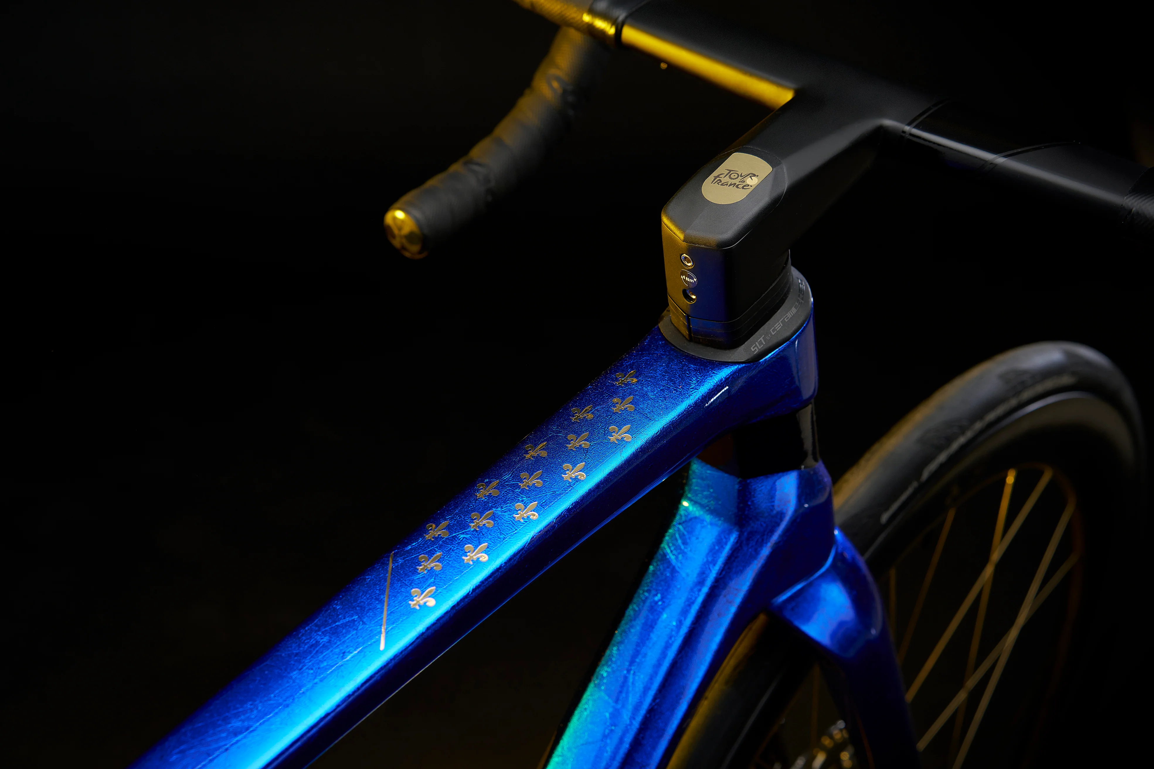 Colnago Fleur-de-Lys (1)