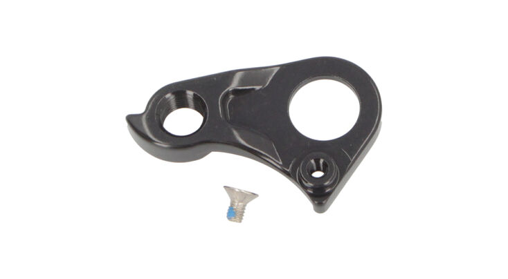 DROPOUT GRAVELX CARBON (1)