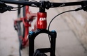 LYNX RACE LT 3.5 (4)