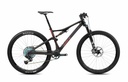 LYNX RACE 8.1 (1)