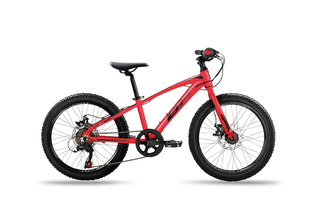 EXPERT JUNIOR 20 DISC (1)