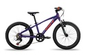 EXPERT JUNIOR 20" SUSP (1)