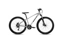 EXPERT JUNIOR 26 DISC (1)