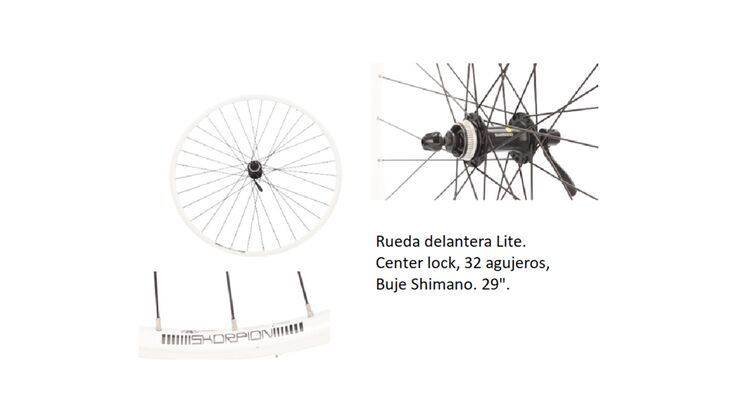 RUEDA 29" SL DELANTERA TB 15 28 CL (4)