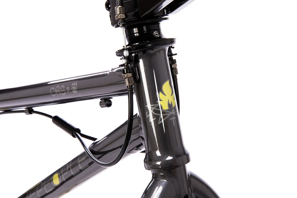 CRS FS 20“ join our newsletter (5)