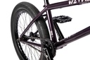 ENVY CARBONIC join our newsletter (7)