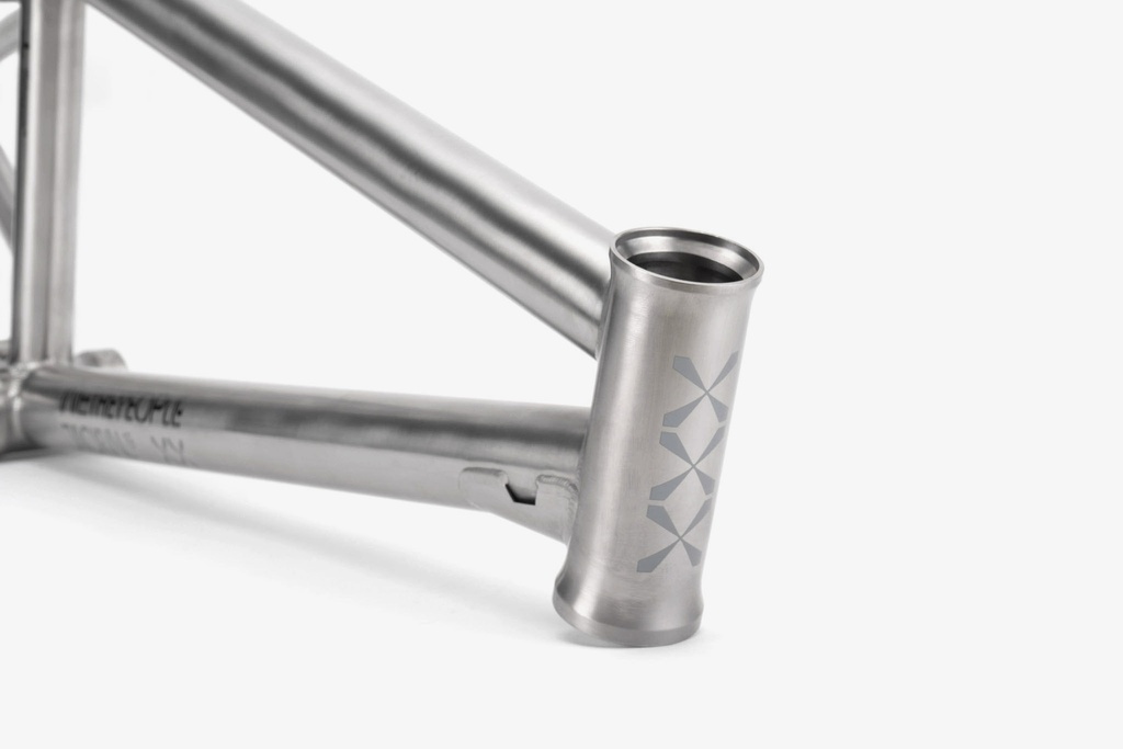 JACKAL TITANIUM join our newsletter (7)