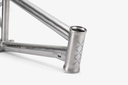 JACKAL TITANIUM join our newsletter (7)