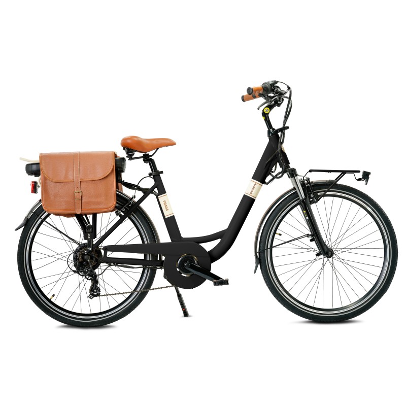 EBIKE PRAGA 26" 6V (1)