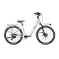 EBIKE AMATA 28" (2)
