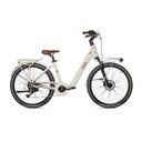 EBIKE AMATA 28" (4)