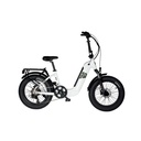 FAT EBIKE 20" (1)