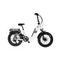 FAT EBIKE 20" (2)