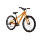 LEVEL JR 2.0 LIGHT 24" (3)