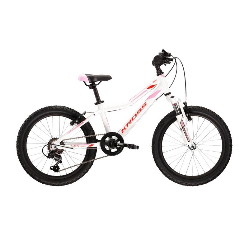 LEA MINI 2.0 20" (1)