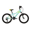 LEA MINI 2.0 20" (2)