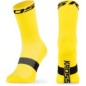 PAVE HI (5)