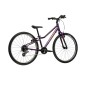 LIFTIE 24 (2)