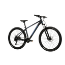 HEXAGON X300 (1)