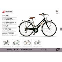 EVADO 5.0 2024 (5)