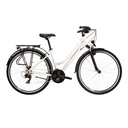 TRANS 1.0 MUJER (2)