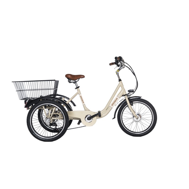 e-TRICICLO ELÉCTRICO 20" 6V (1)