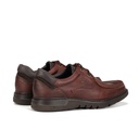 CELTIC 9595 Zapato MarrÃ³n (2)