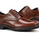 BELGAS F0630 Zapato MarrÃ³n (6)