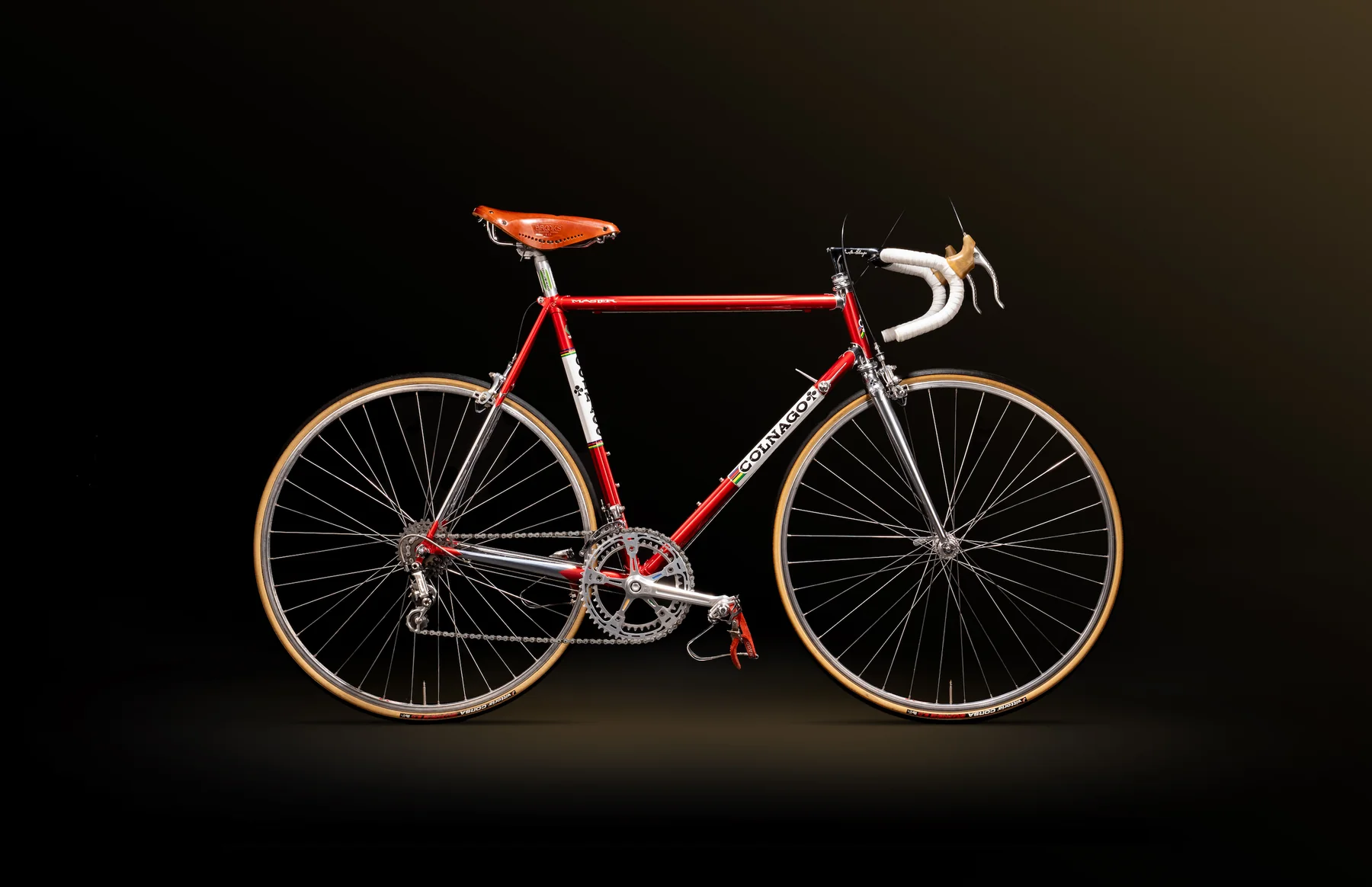 Bicicleta Master (1)