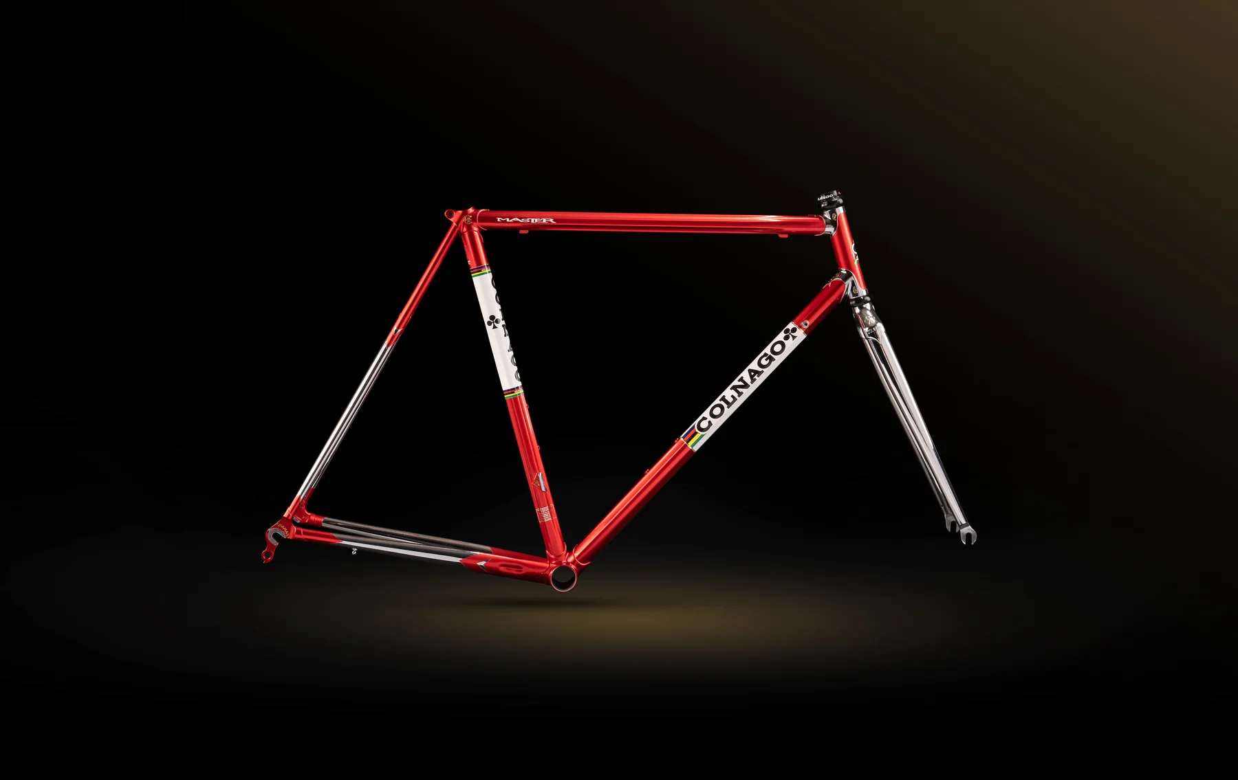 Bicicleta Master (2)