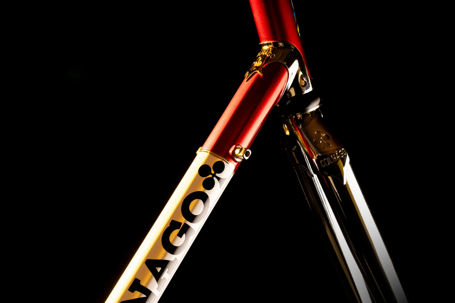 Bicicleta Master (4)