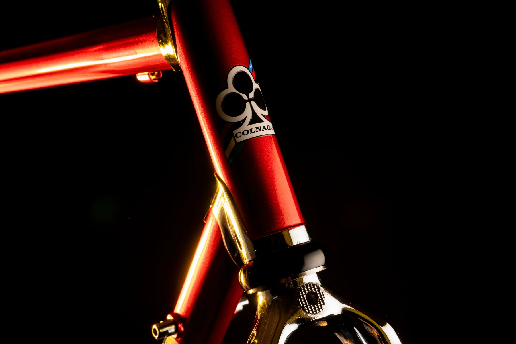 Bicicleta Master (7)