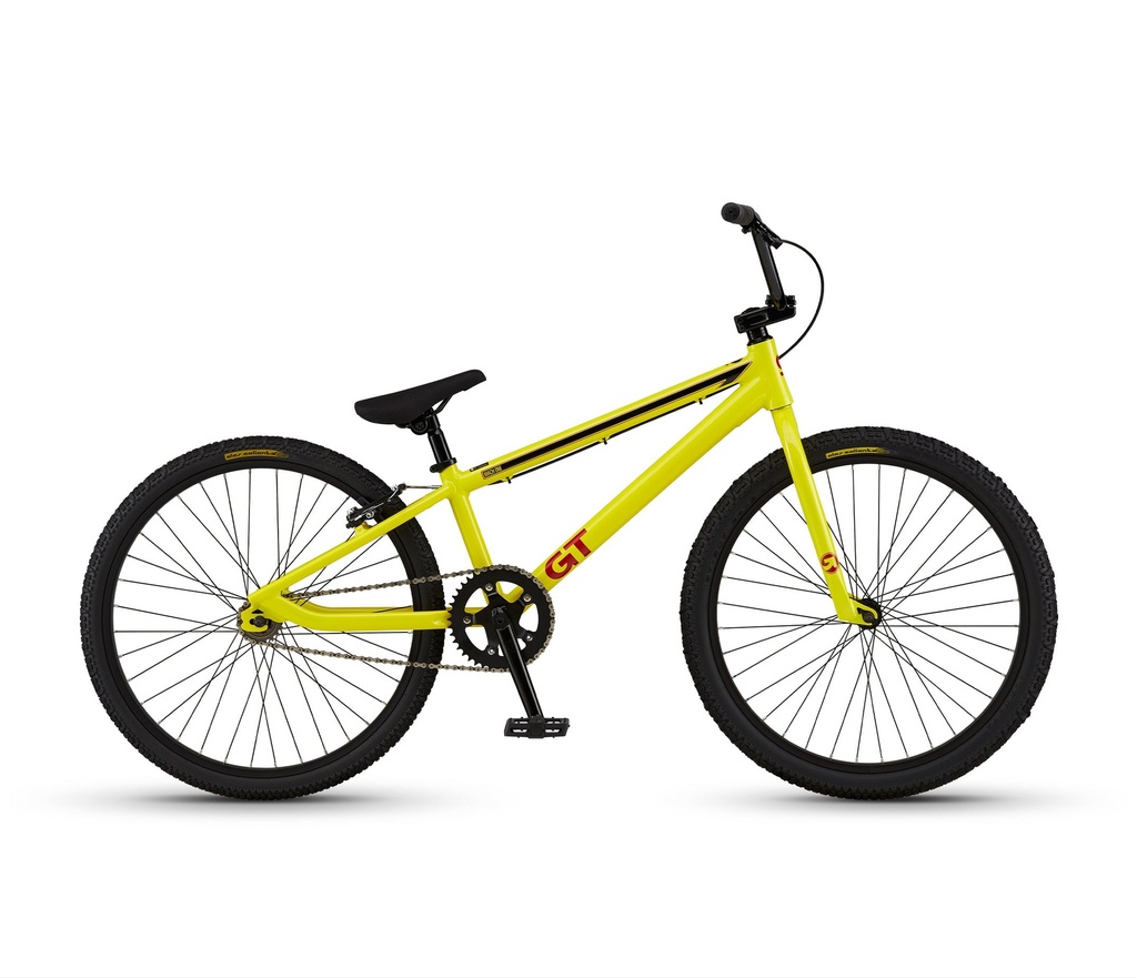 Mach One Pro 24 Upgradeable Aluminum Race Frame Track ready entry level race bike Mach One Pro 24 (1)
