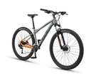 Avalanche Sport (4)