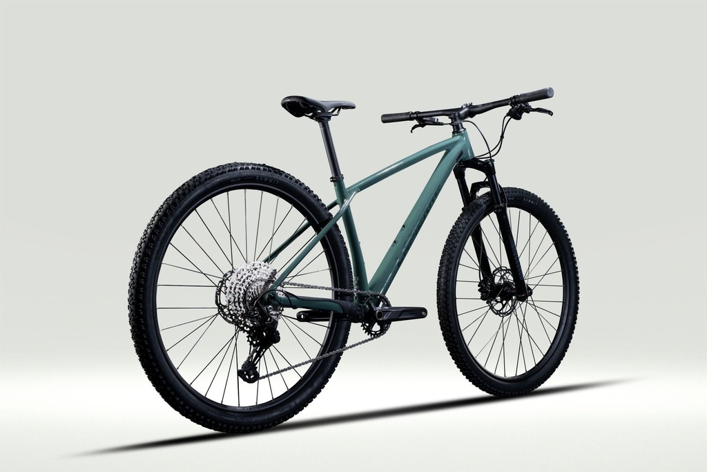 Prorace 3.9 (1)