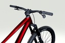 Zesty CF 8.9 (3)