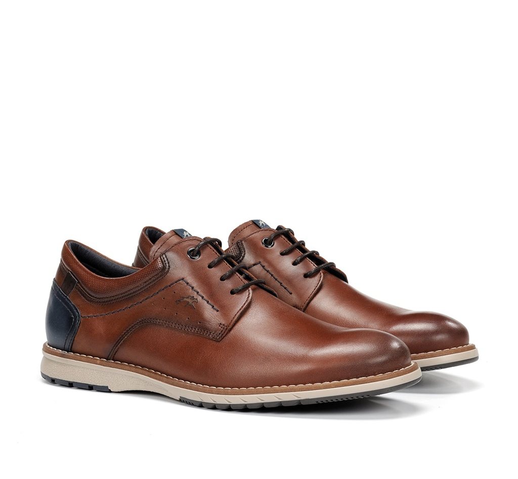 TAYLOR F2091 Zapato MarrÃ³n (1)