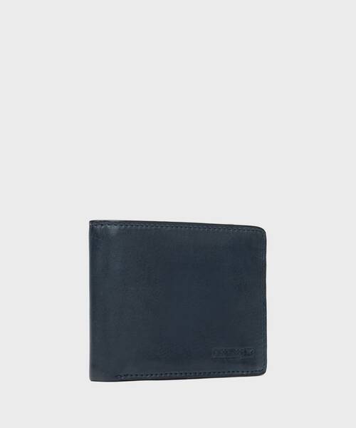 COMPLEMENTOS - Cartera clásica para hombre (1)