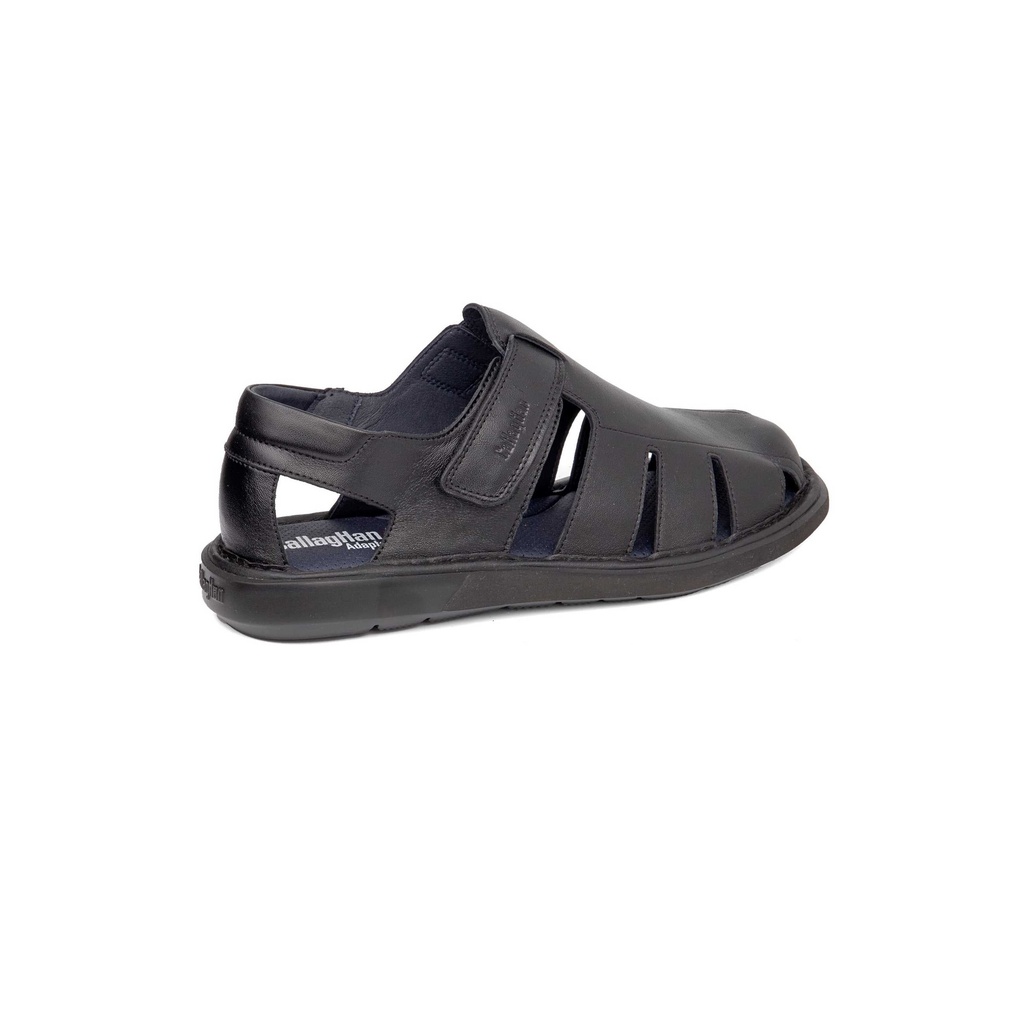 92311 | Leban Negro 92311 | Leban Negro Tecnología Callaghan Adaptación (2)
