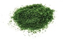 Flock – verde oscuro (1)