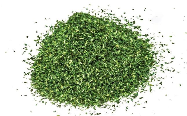 Césped esparcido – Verde oscuro (1)