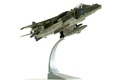 BAe Harrier GR9A 'Ninja 1' - Final Flight Retirement Scheme (3)