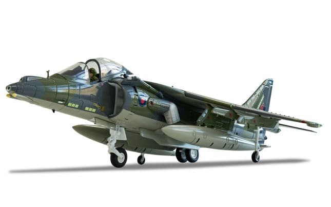 BAe Harrier GR9A 'Ninja 1' - Final Flight Retirement Scheme (4)