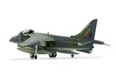 BAe Harrier GR9A 'Ninja 1' - Final Flight Retirement Scheme (5)