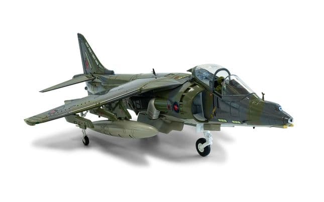 BAe Harrier GR9A 'Ninja 1' - Final Flight Retirement Scheme (6)