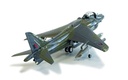 BAe Harrier GR9A 'Ninja 1' - Final Flight Retirement Scheme (7)