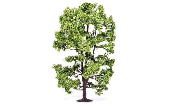 Albero di acacia (2)