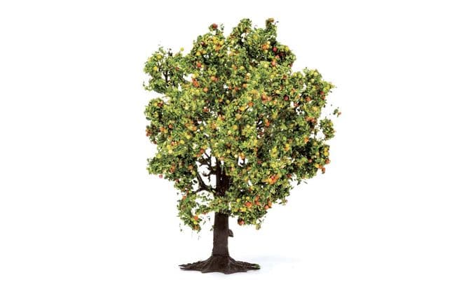 Apple Tree (with Fruit) (2)