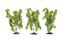 Birch Trees - 3x Pieces (1)