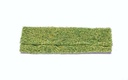 Foliage - Wild Grass (Light Green) (2)